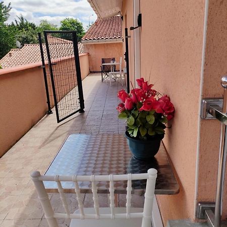 Residence Des Canaris Toulouse Luaran gambar